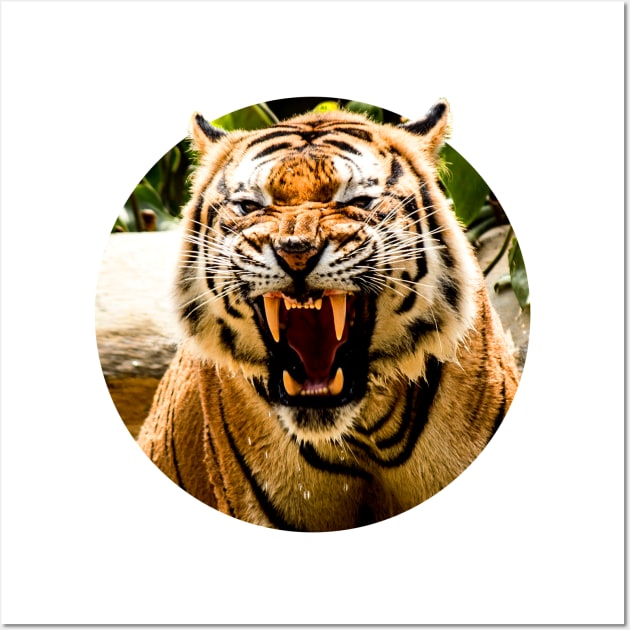 Bengal Tiger Roar Wall Art by onibug